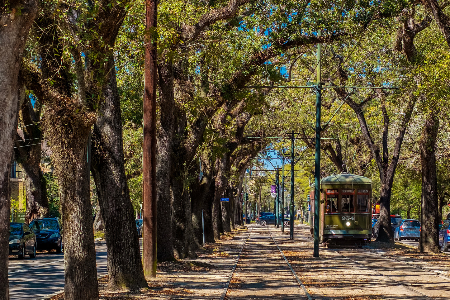 Kirsten Roy-Partner | NOLA Destination D&D