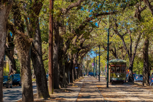 Kirsten Roy | NOLA Destination D&D