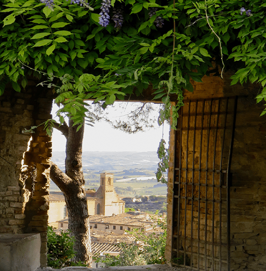 Shakespeare in Italy Tour 2026